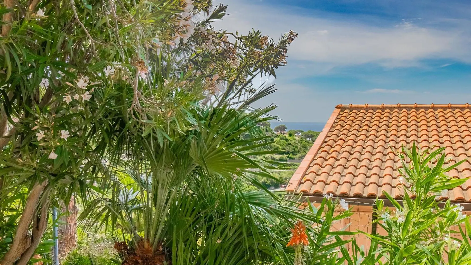 Apartament Non Ti Scordar Di Me - Bel Horizonte Capoliveri